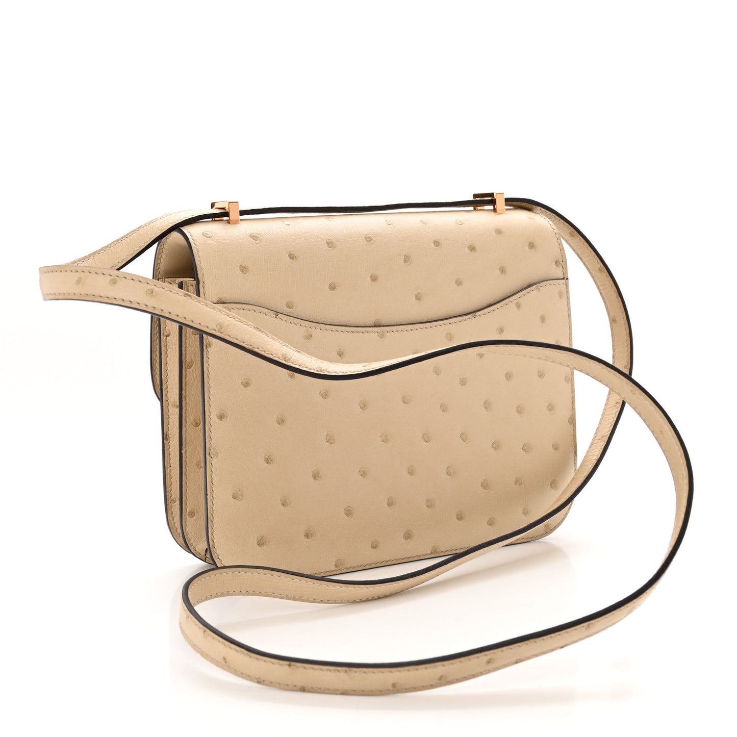 Ostrich Constance 18 Parchemin