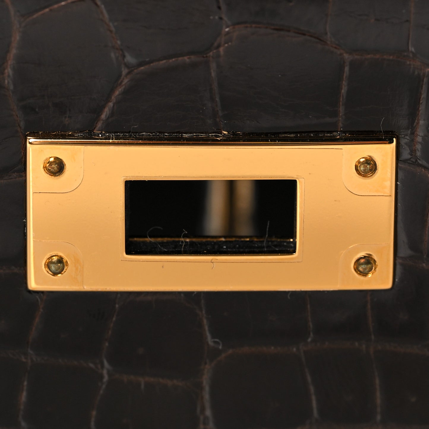 Shiny Niloticus Crocodile Kelly Sellier 28 Macassar