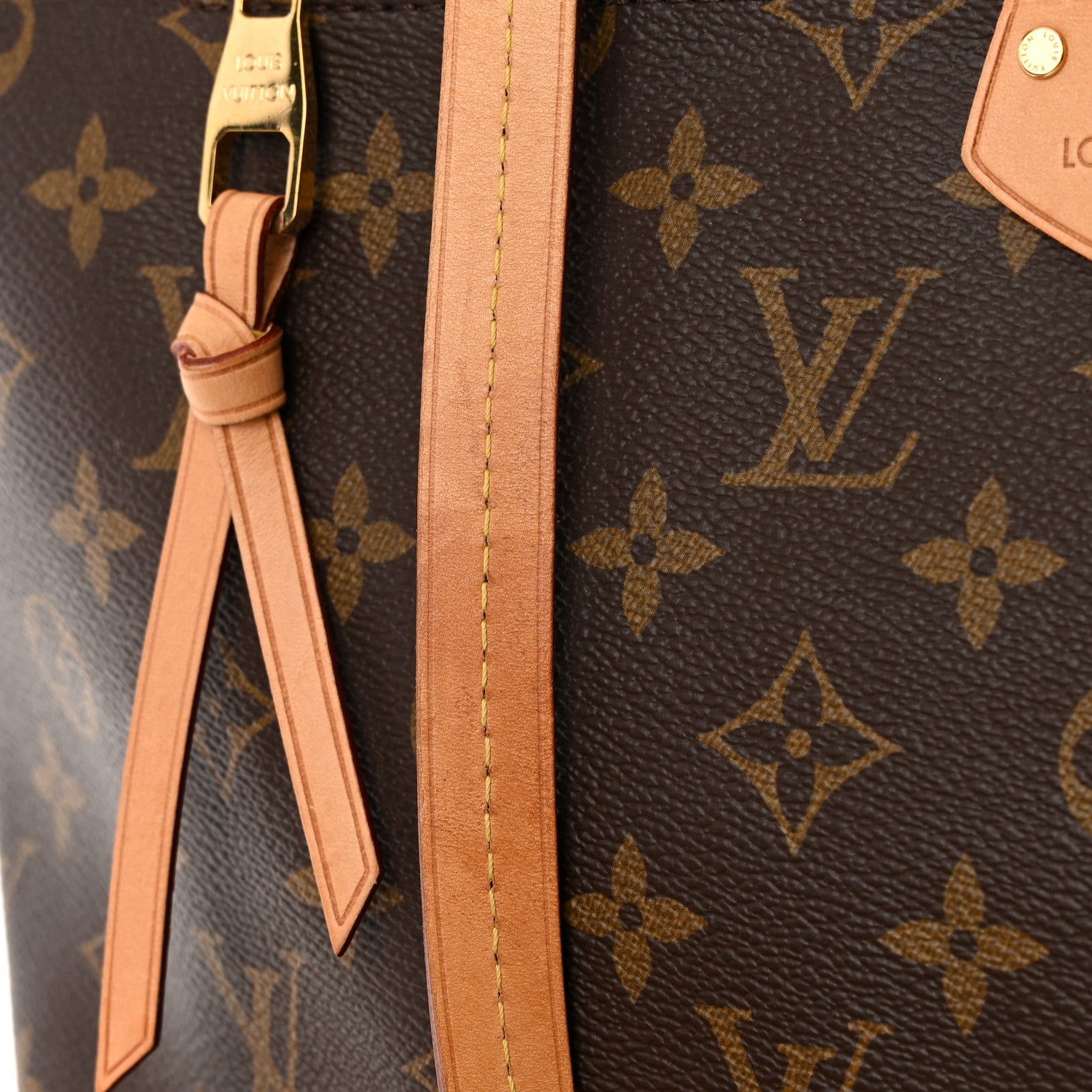 Louis Vuitton Monogram Iena MM 17 of 21