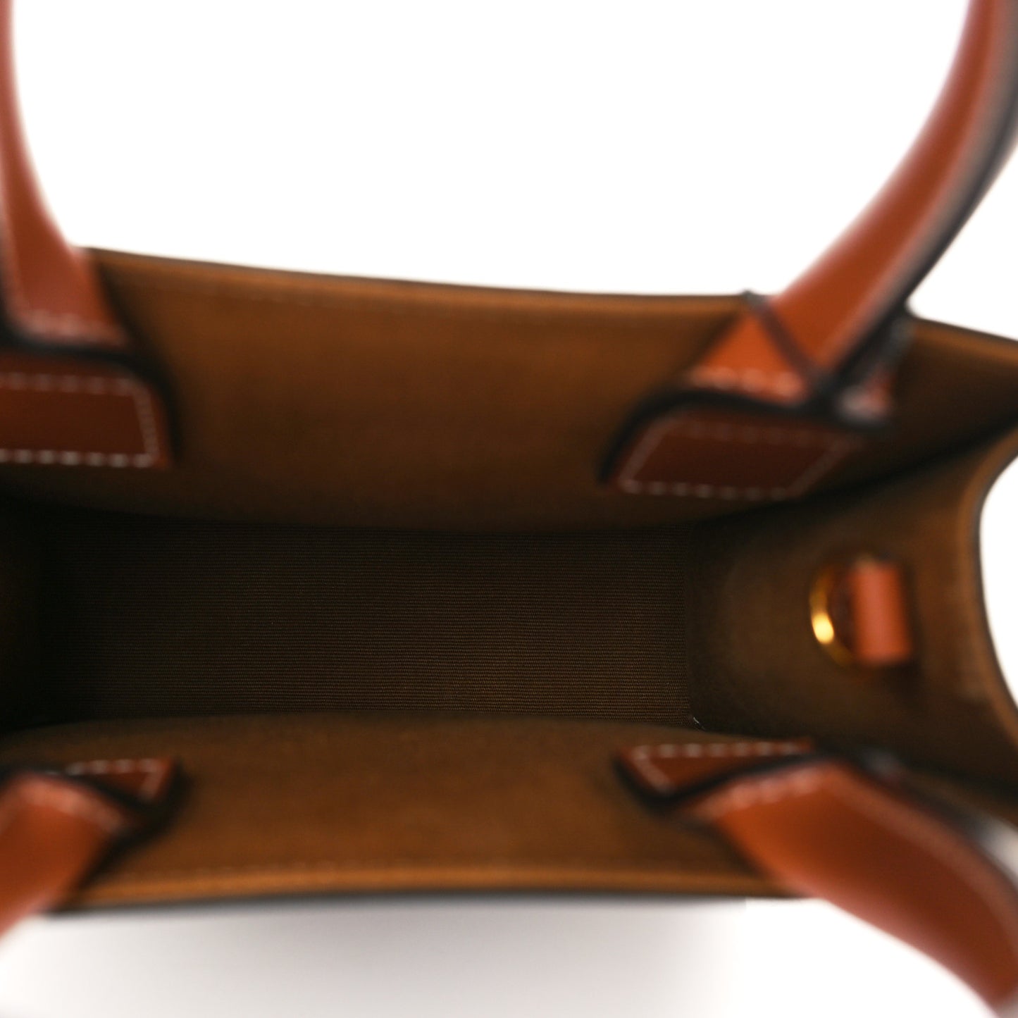 Triomphe Canvas Calfskin Mini Vertical Cabas Tan