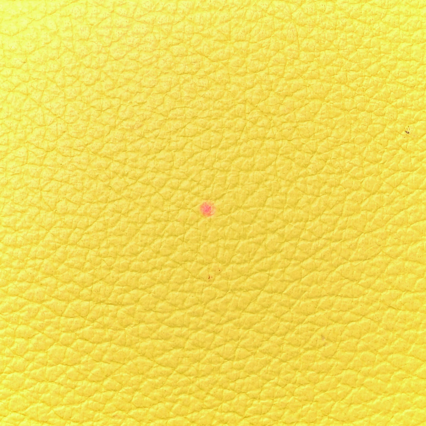 Evercolor Kelly Retourne 28 Lime