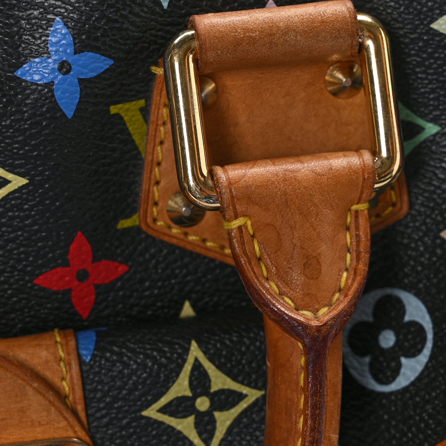 Monogram Multicolor Speedy 30 Black