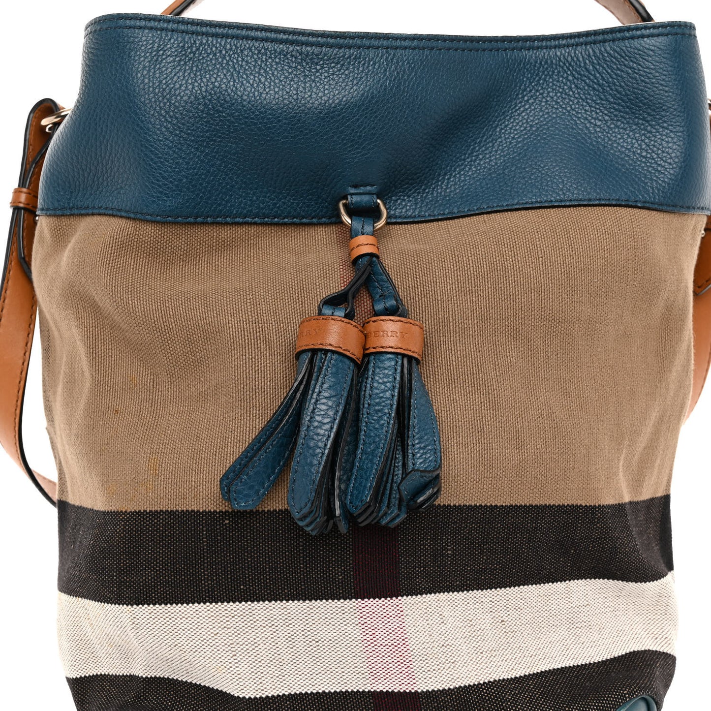 Grainy Calfskin Canvas Mega Check Medium Ashby Tassel Hobo Blue
