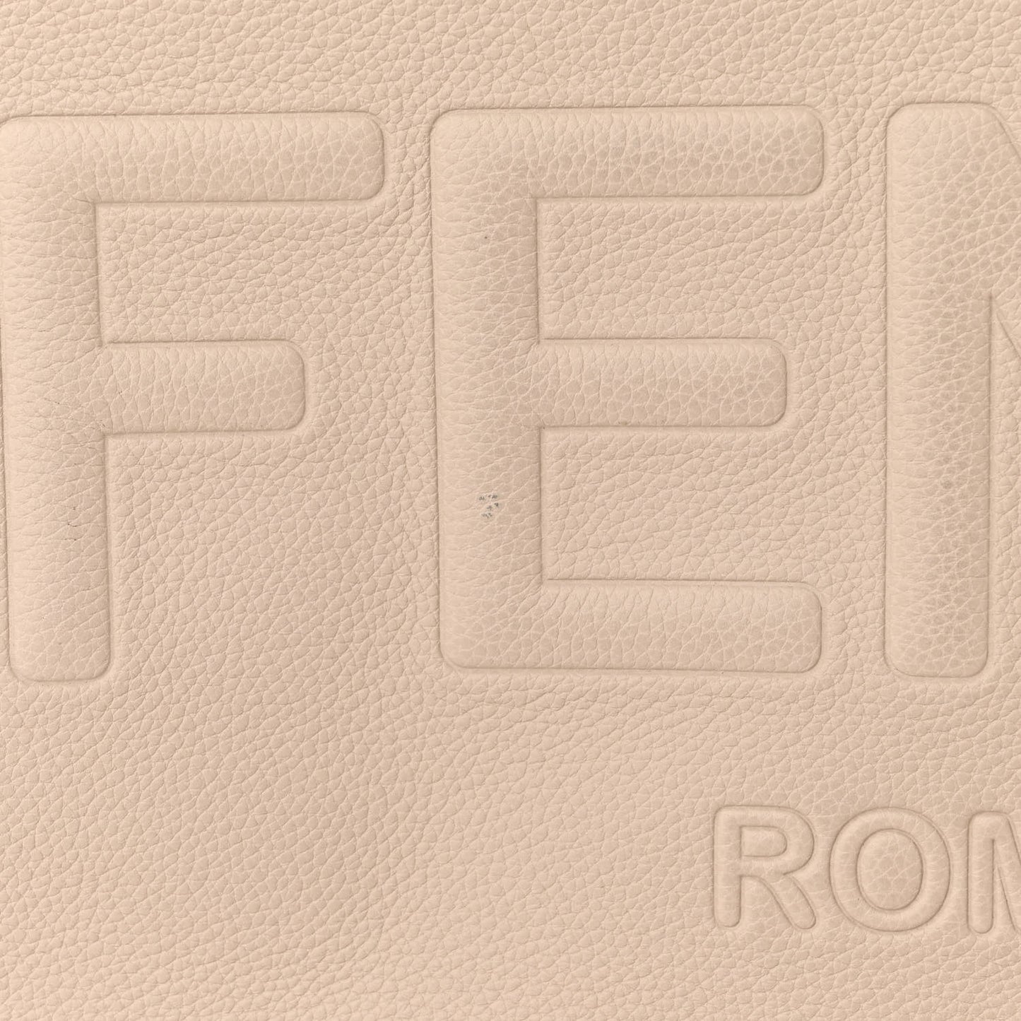 Vitello Cher Logo Embossed Medium Go To Shopper Tote Camelia