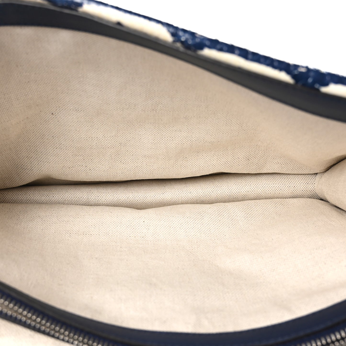 Snakeskin Dragonfly Medium Dionysus Shoulder Bag Blue