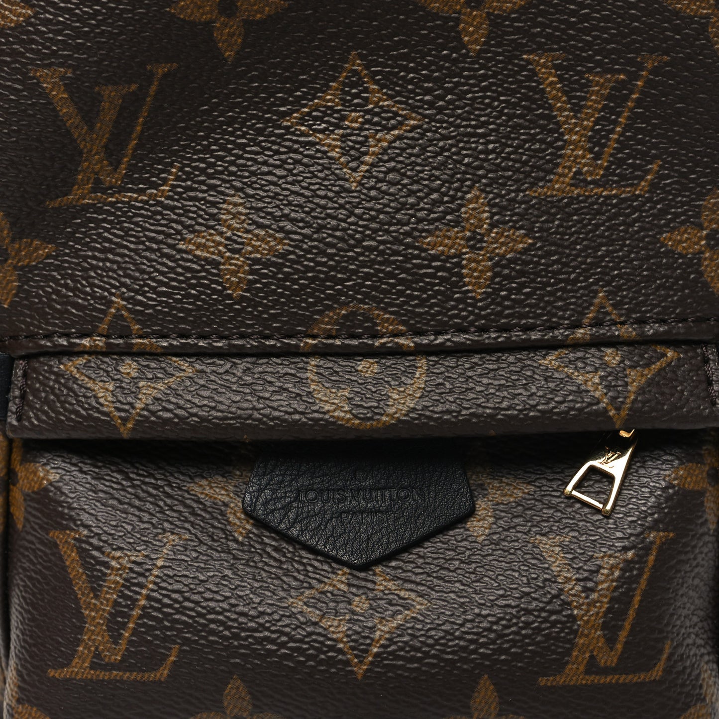 Monogram Palm Springs Backpack Mini