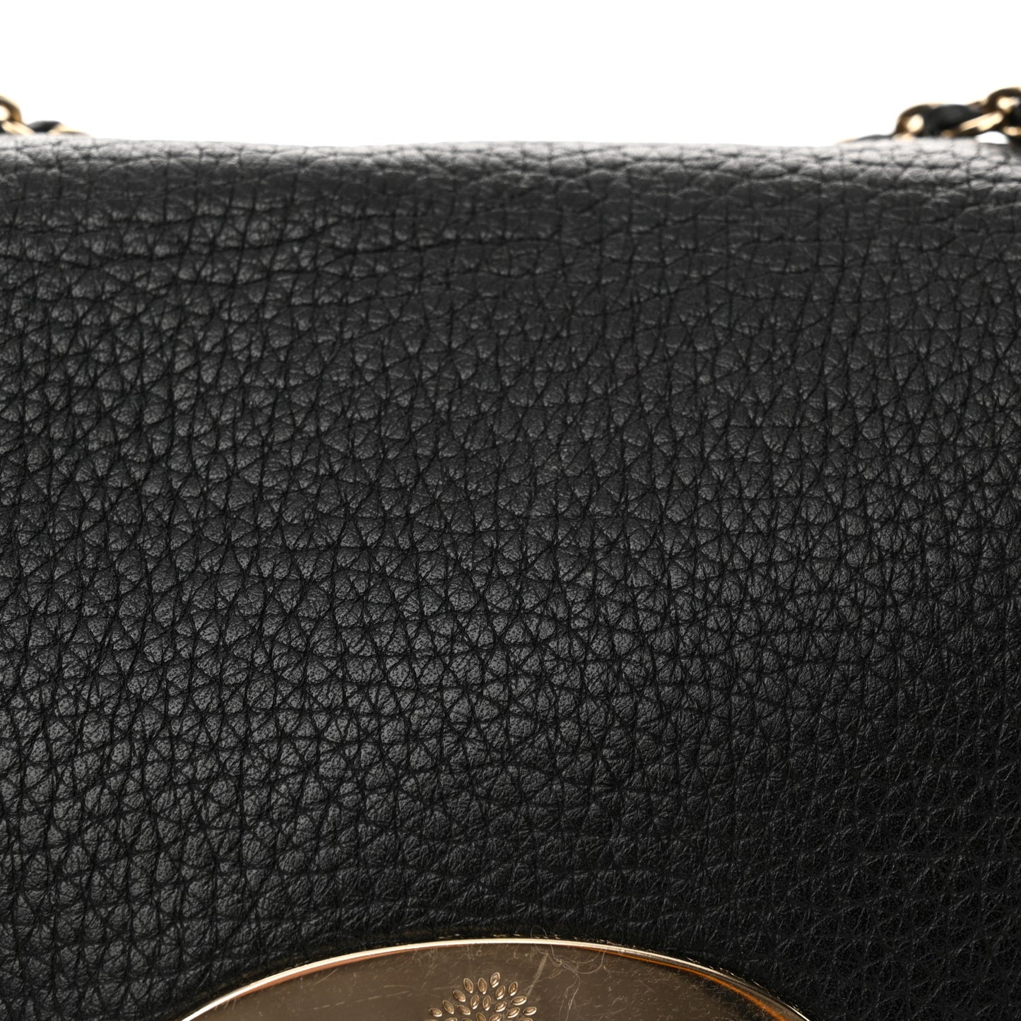 Glossy Goatskin Small Lily Flap Black