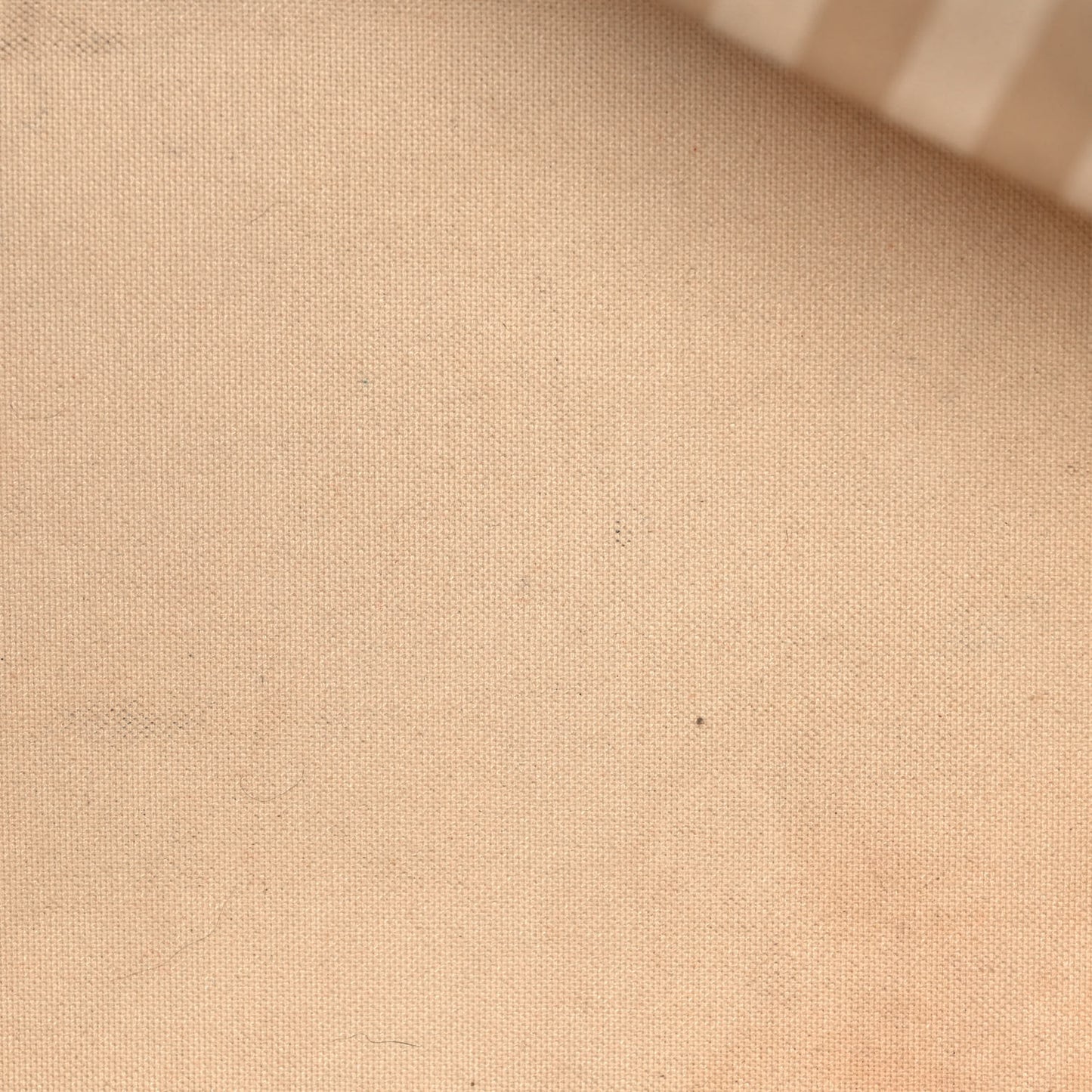 Monogram Rayures Neverfull MM