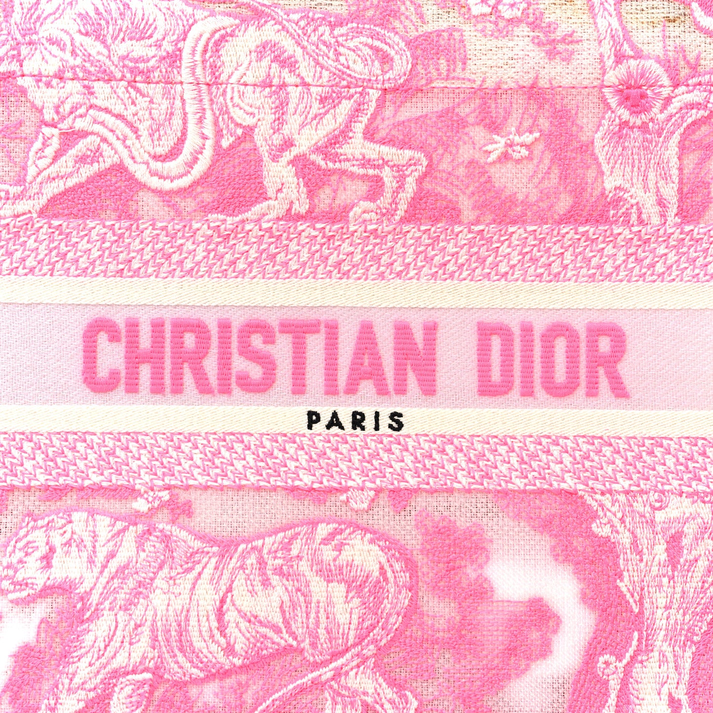 Transparent Canvas Embroidered Small Toile De Jouy Reverse Book Tote Fluorescent Pink