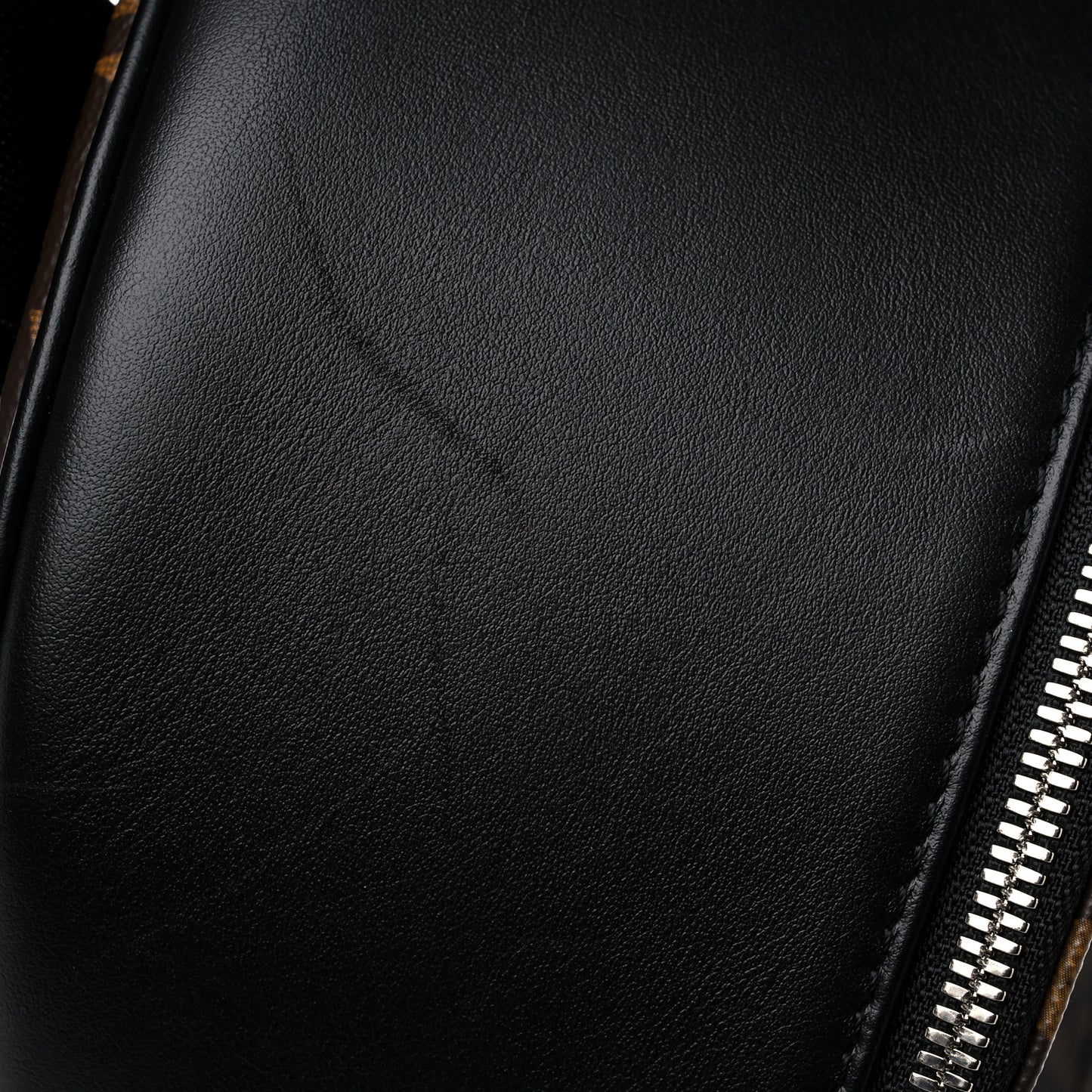Monogram Macassar Josh NM Backpack