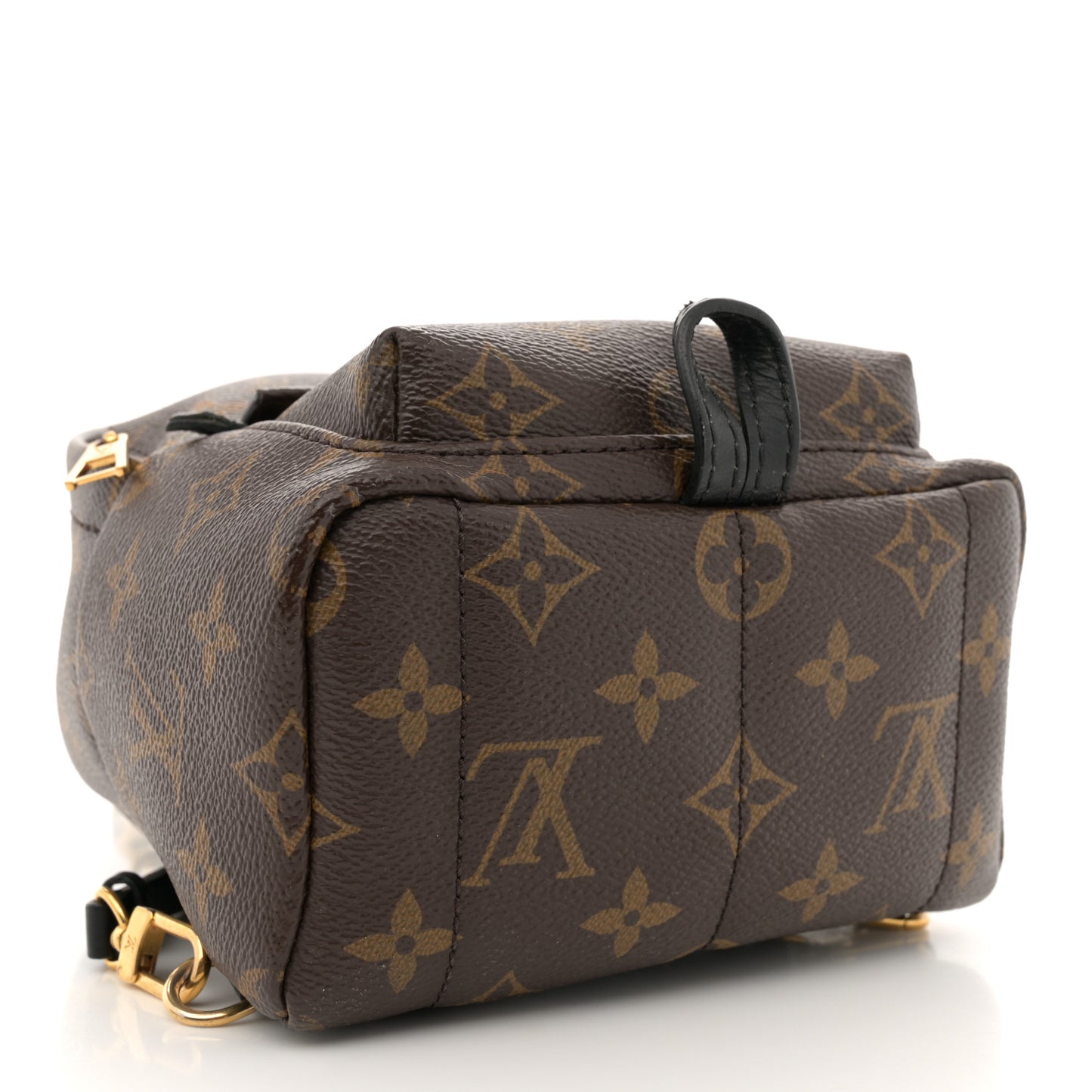 Monogram Palm Springs Backpack Mini
