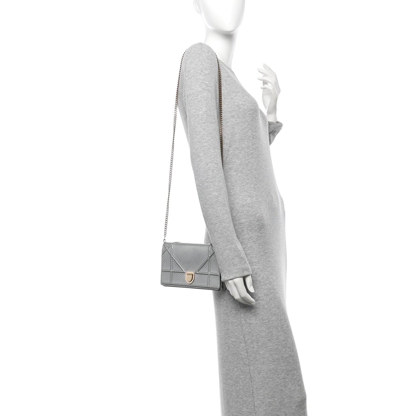 Snakeskin Diorama Wallet on Chain Pouch Silver
