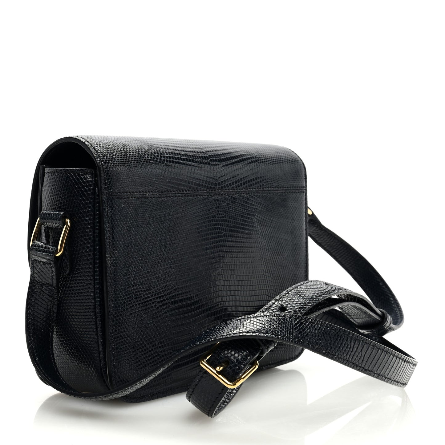 Lizard Teen Triomphe Navy Blue