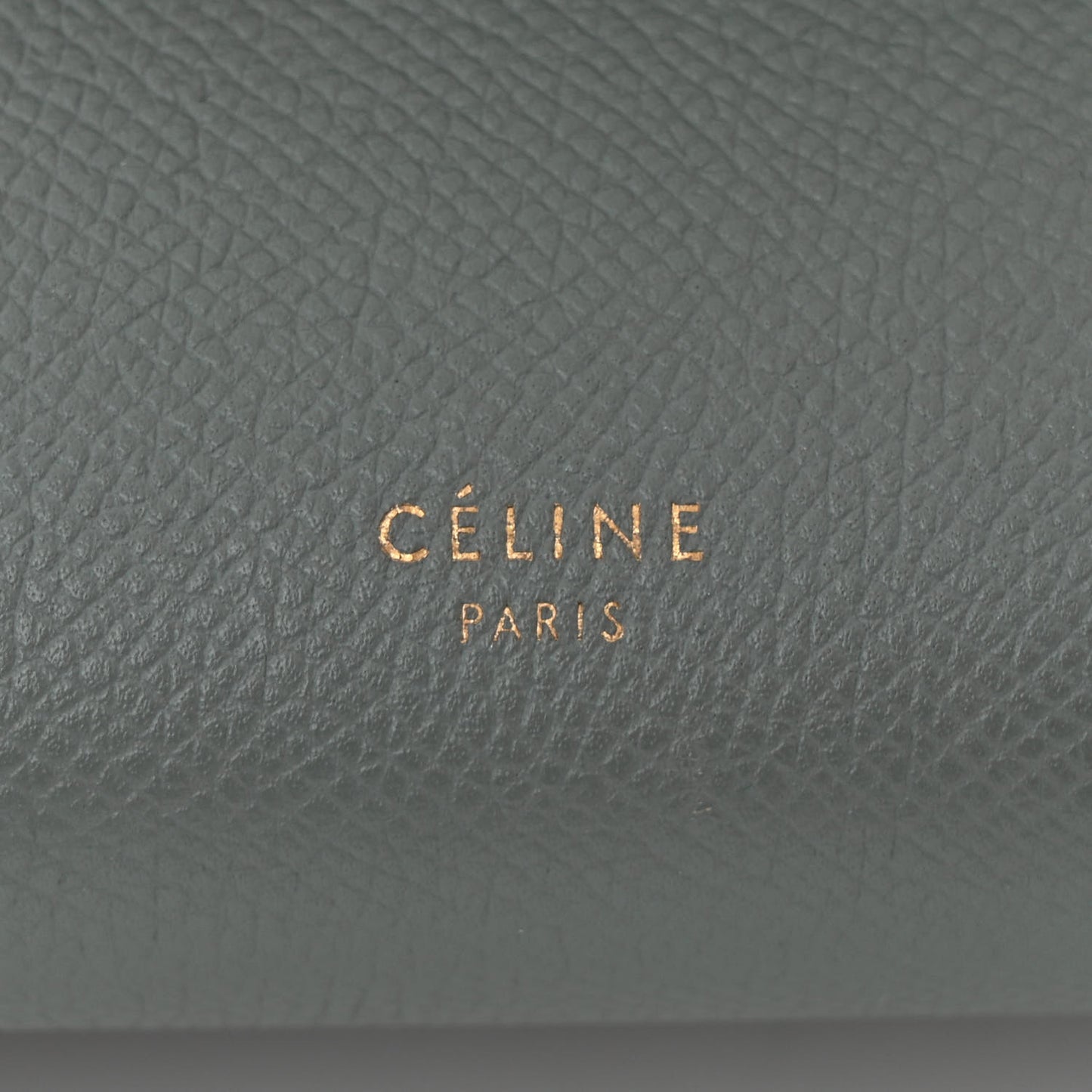 Grained Calfskin Nano Belt Bag Storm