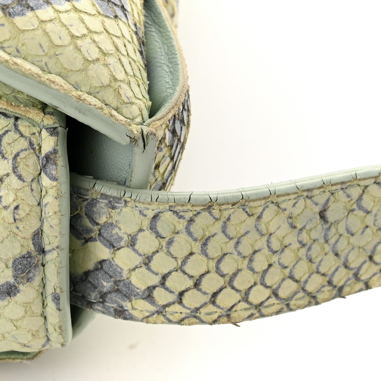 Goatskin Python Embossed Padded Cassette Crossbody Bag Kiwi Black Silver