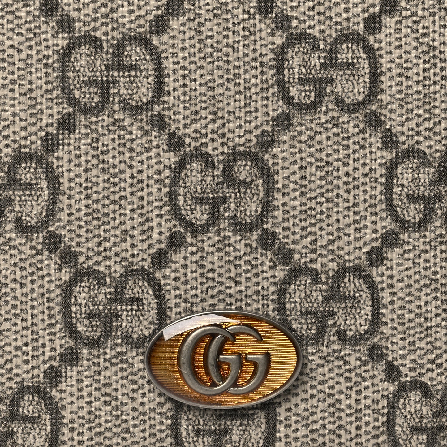 GG Supreme Monogram Ophidia iPhone 11 Pro Case