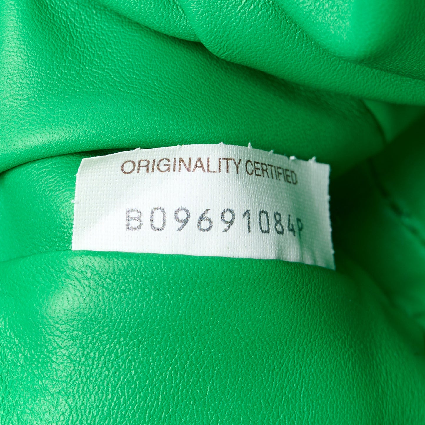Butter Calfskin The Mini Pouch Parakeet