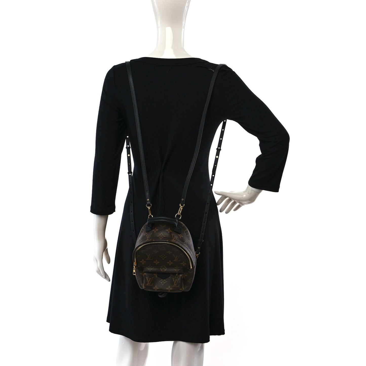 Monogram Palm Springs Backpack Mini