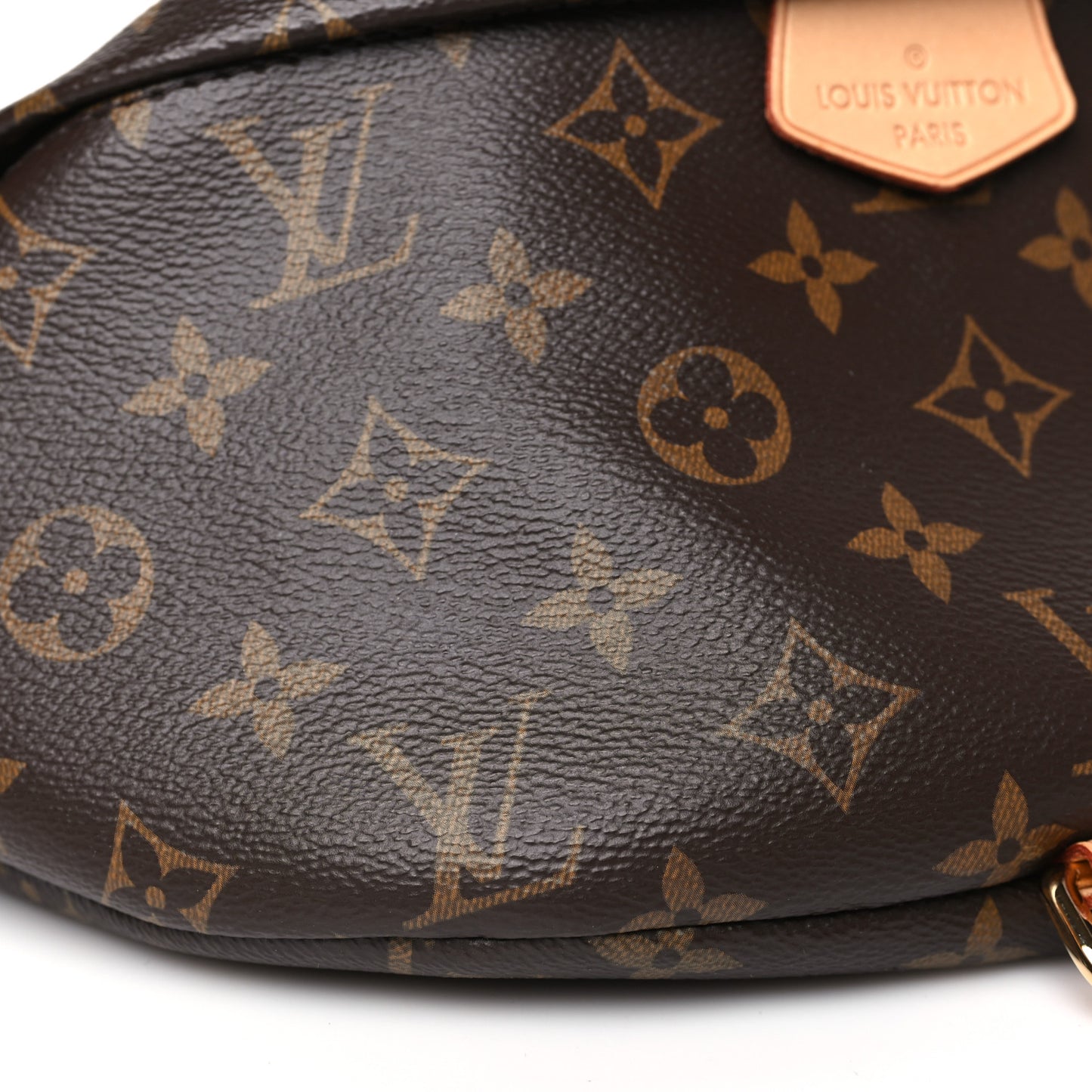Monogram Bumbag