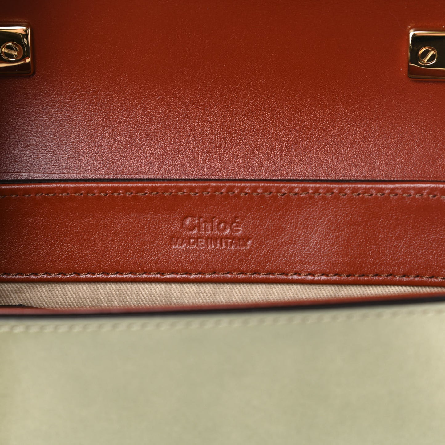 Shaded Glossy Calfskin Lizard Embossed Mini C Double Carry Antique Green