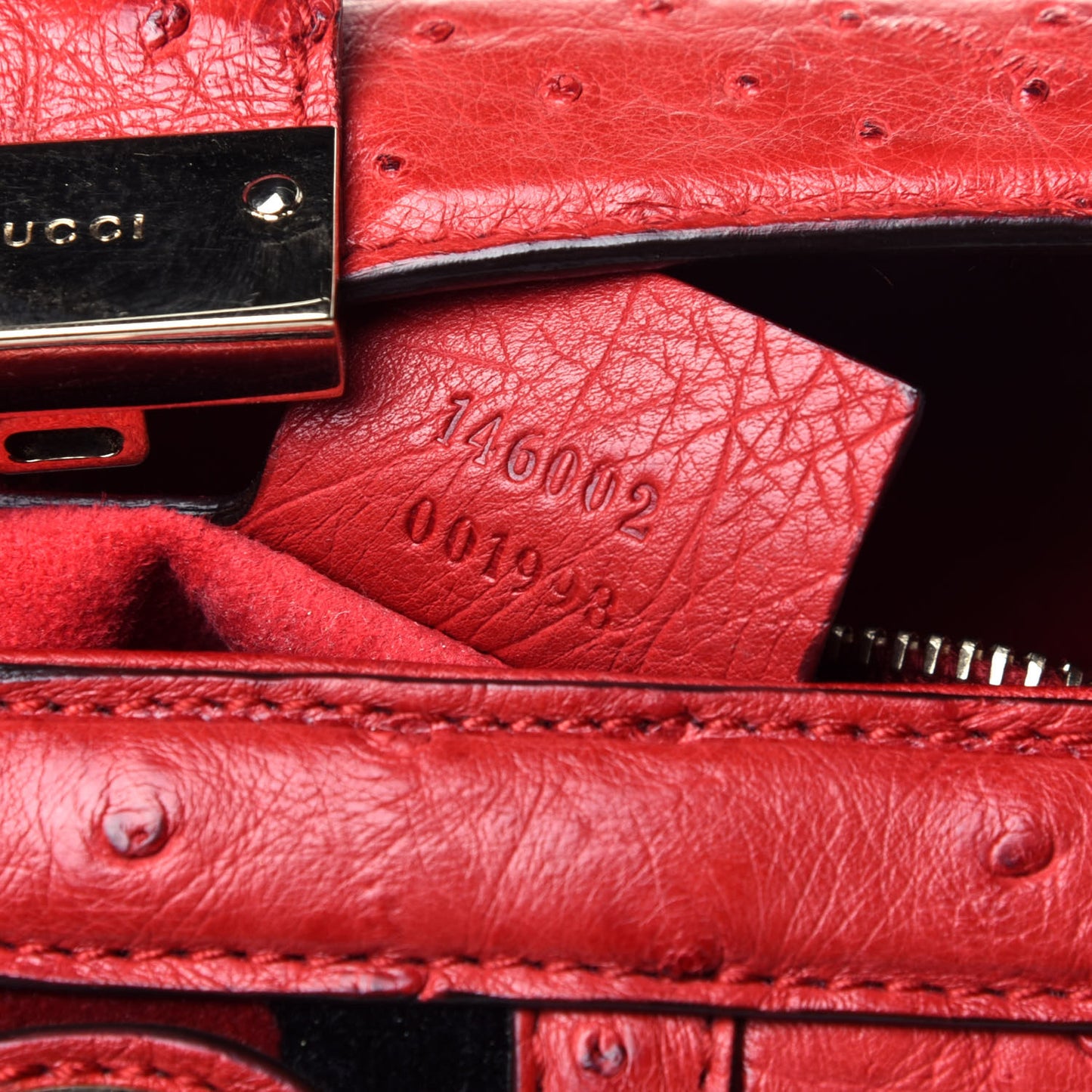 Ostrich Treasure Boston Red