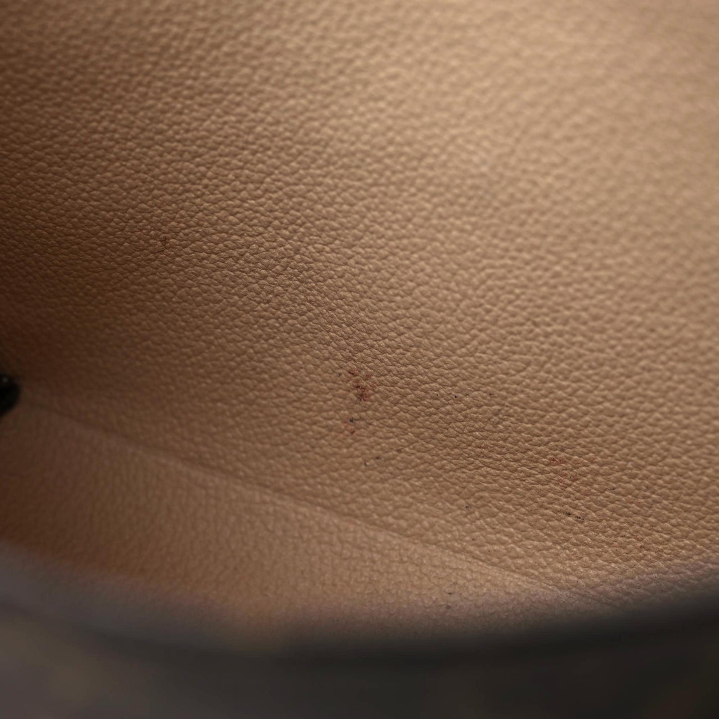 Monogram Toiletry Pouch 19