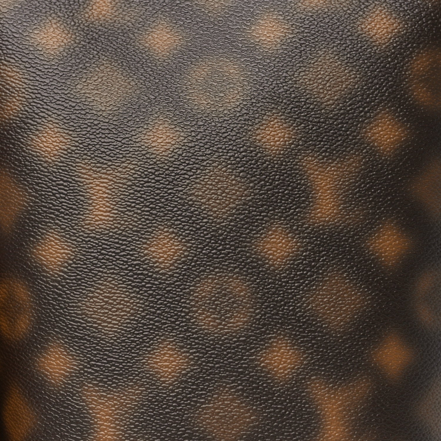 Louis Vuitton Monogram Blurry Hobo Cruiser PM 7 of 9