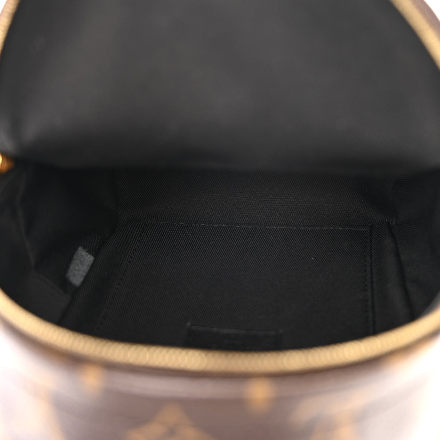 Monogram Palm Springs Backpack Mini