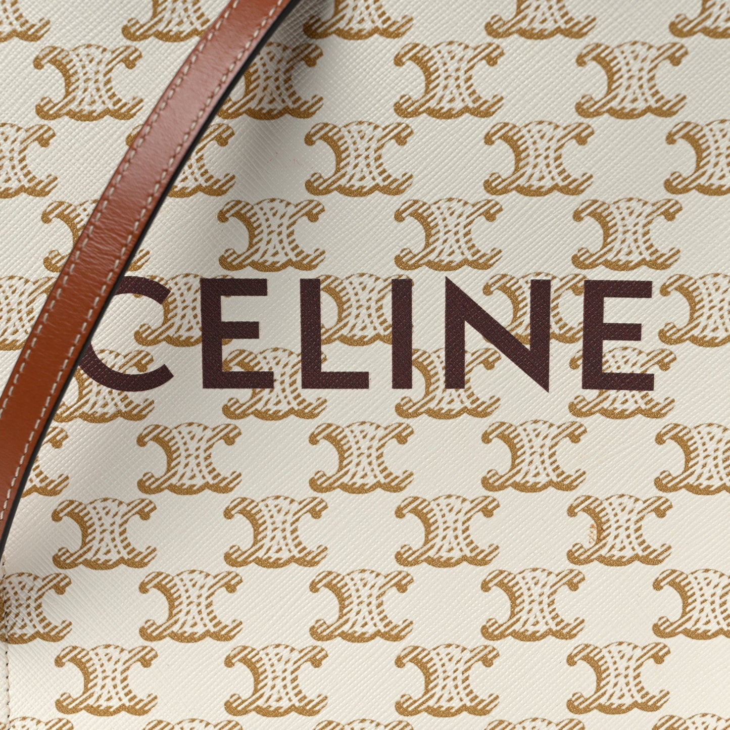 Triomphe Canvas Calfskin Mini Vertical Cabas White