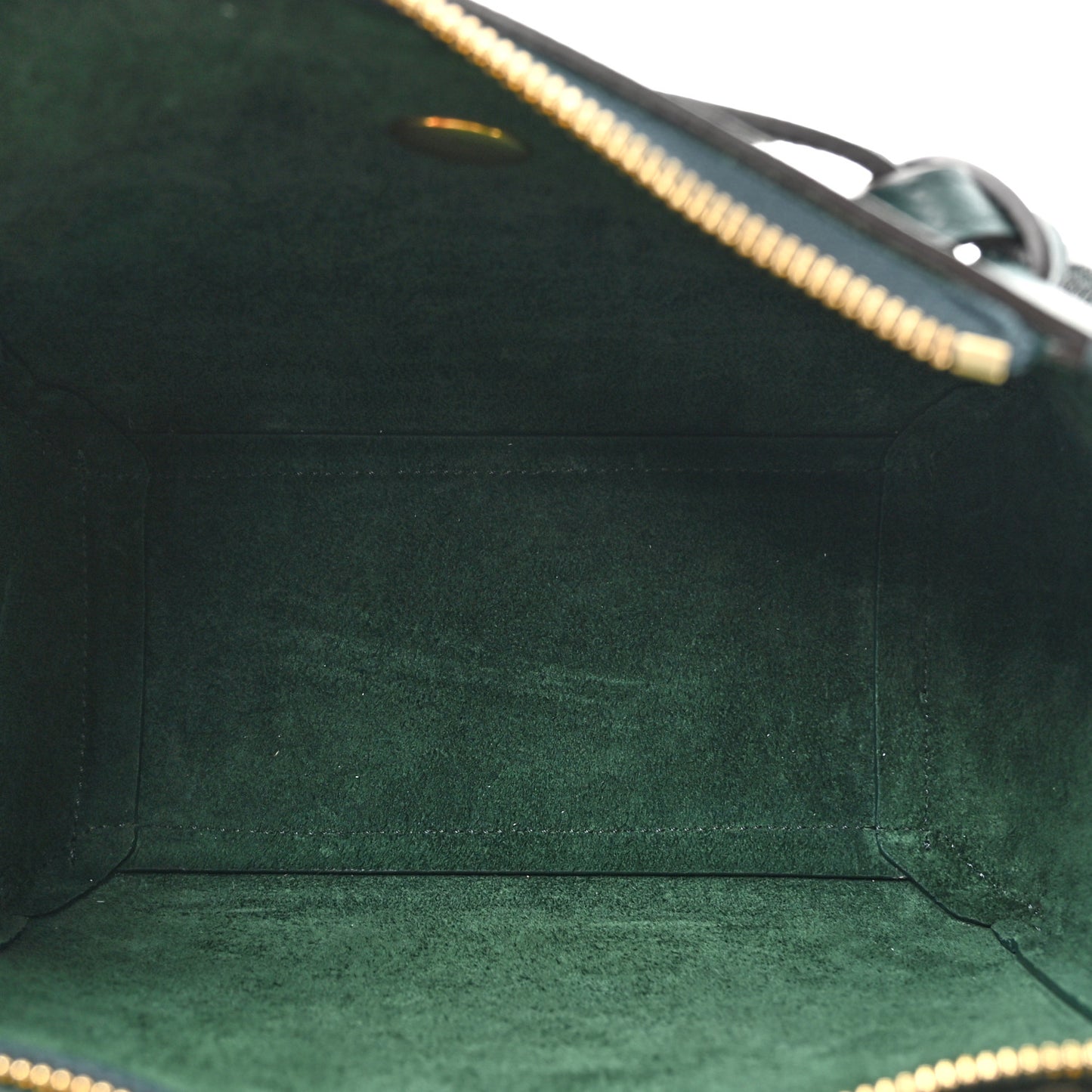 Grained Calfskin Nano Belt Bag Amazone