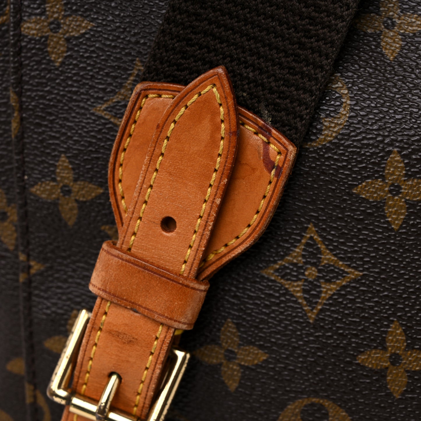 Monogram Montsouris GM Backpack