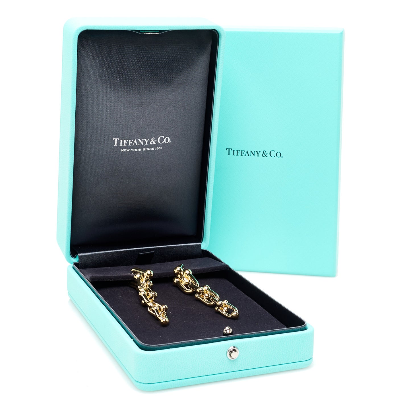 18K Yellow Gold HardWear Graduated Link Earrings