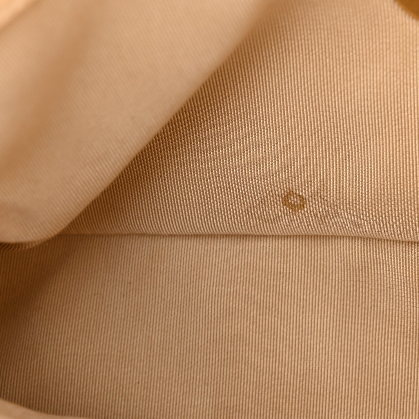 Goatskin Quilted Medium Chanel 19 Flap Beige