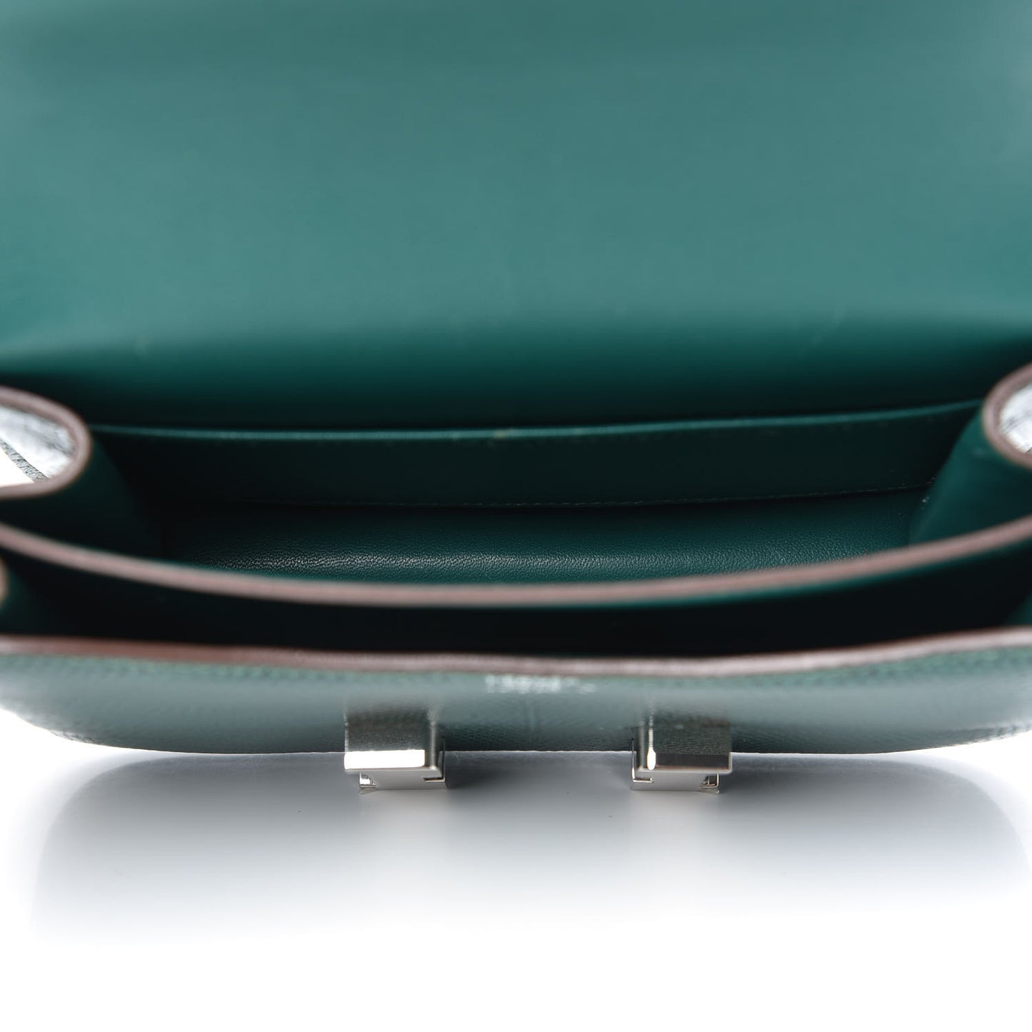 Lizard Constance 18 Malachite