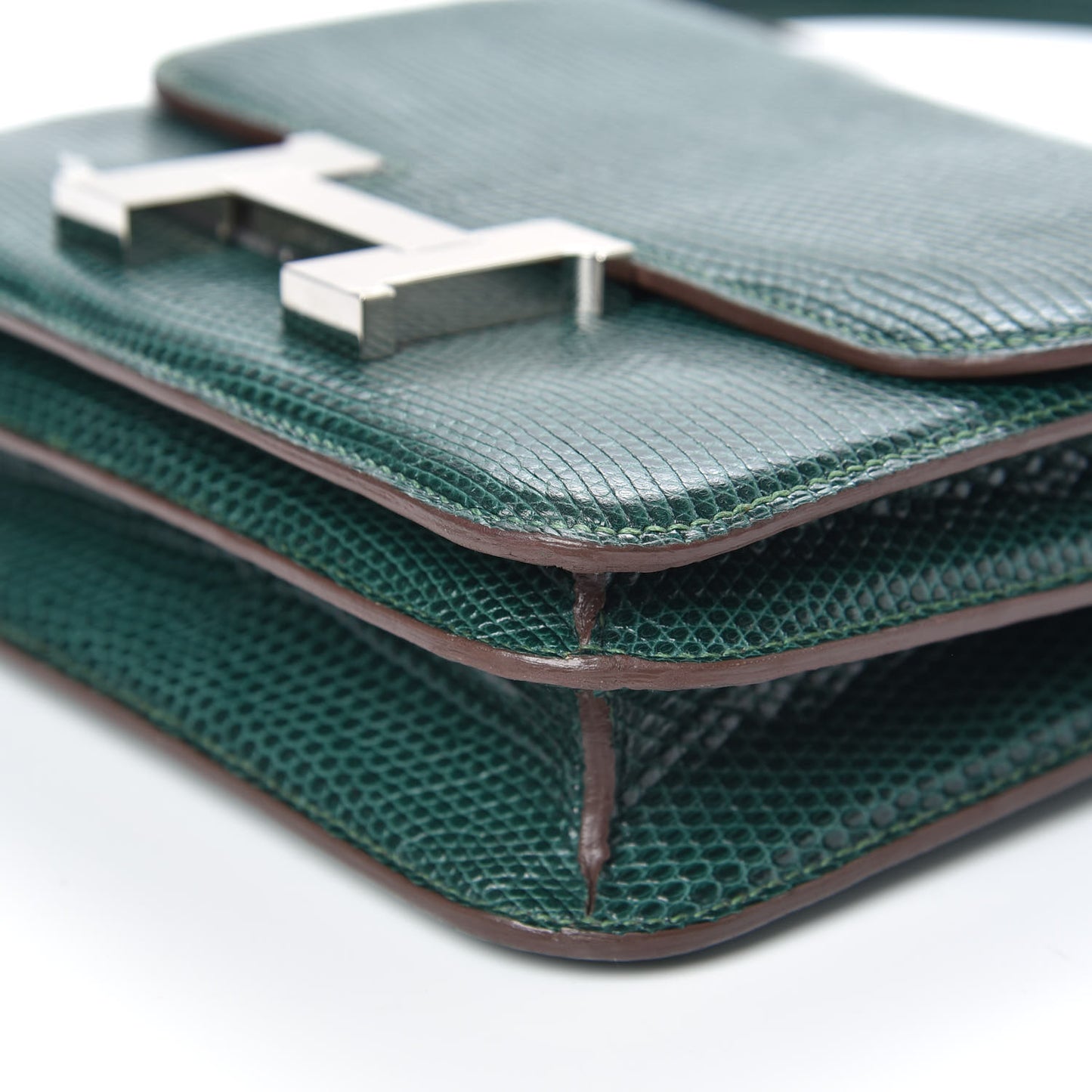 Lizard Constance 18 Malachite