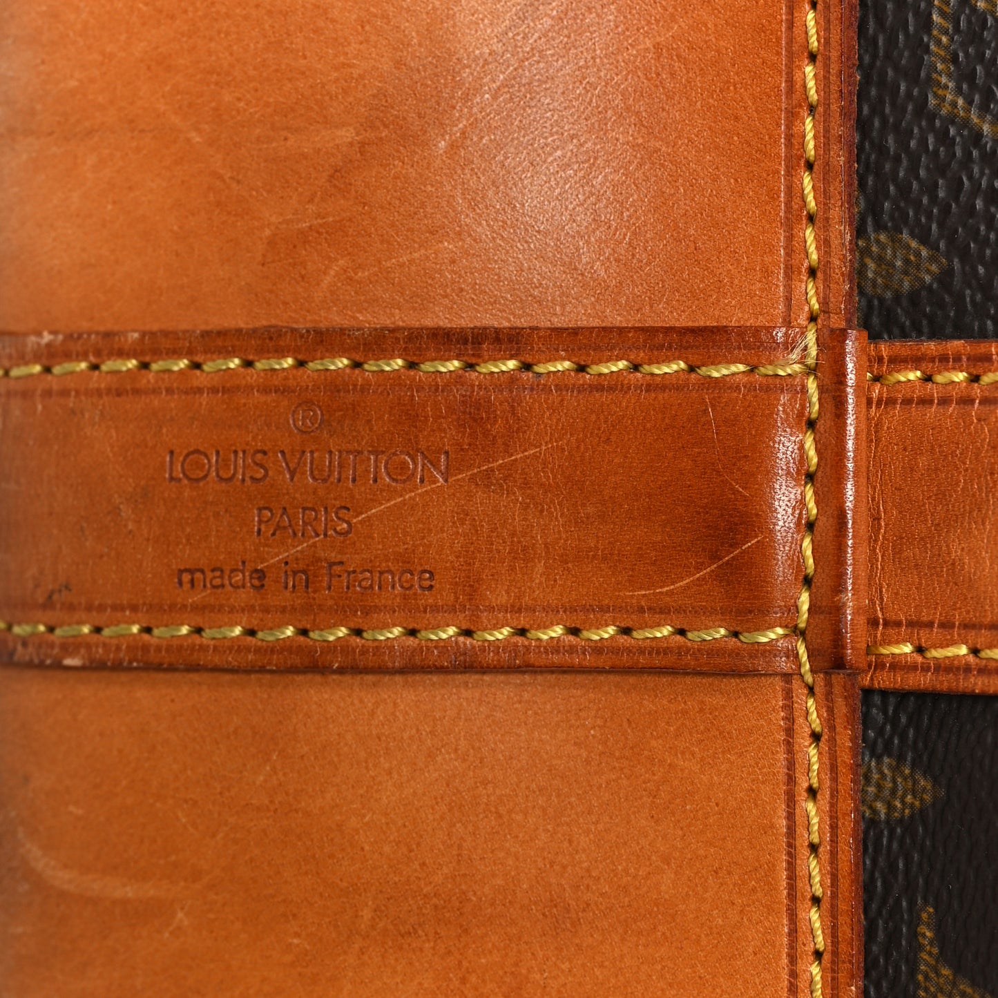 Monogram Randonnee GM Backpack