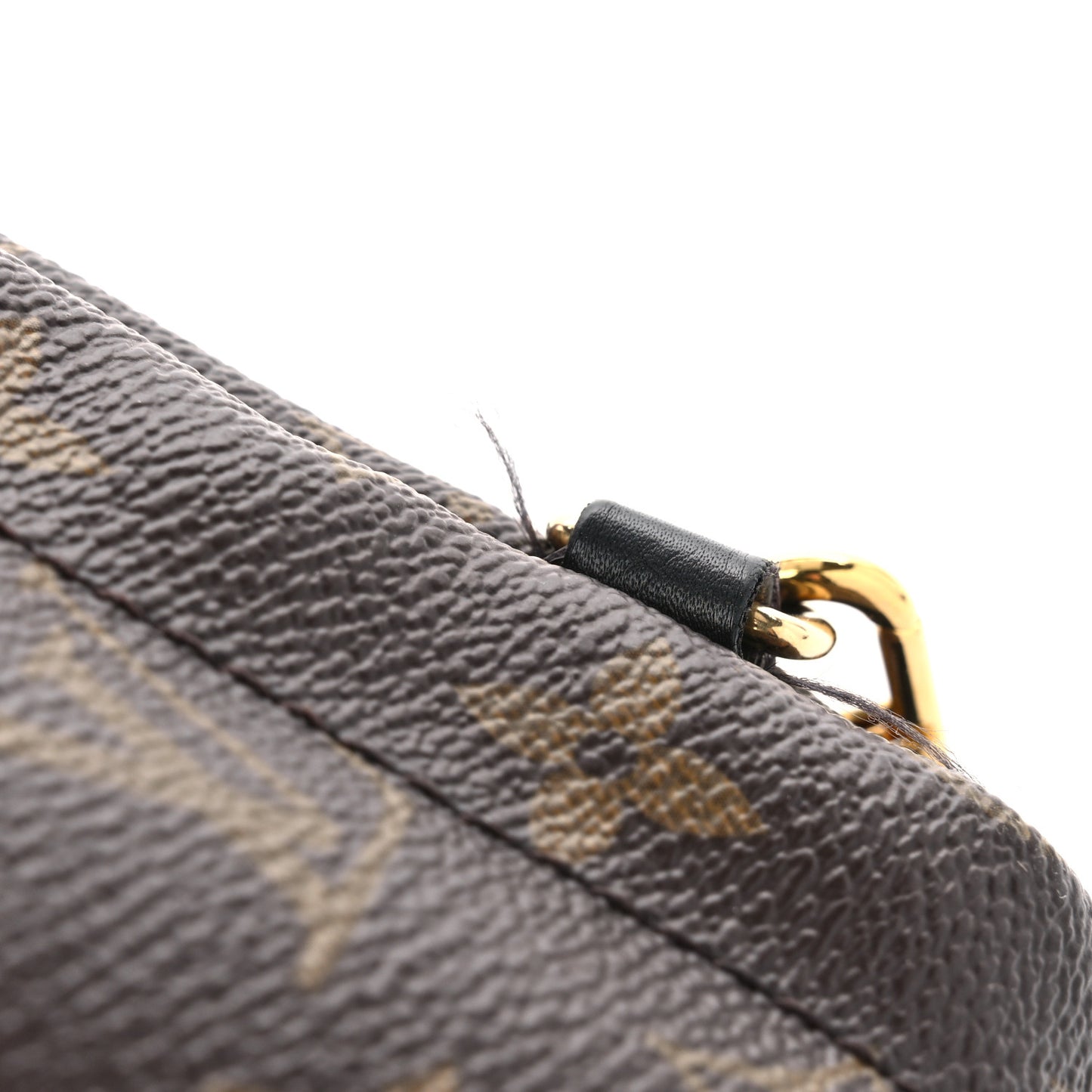 Monogram Palm Springs Backpack Mini