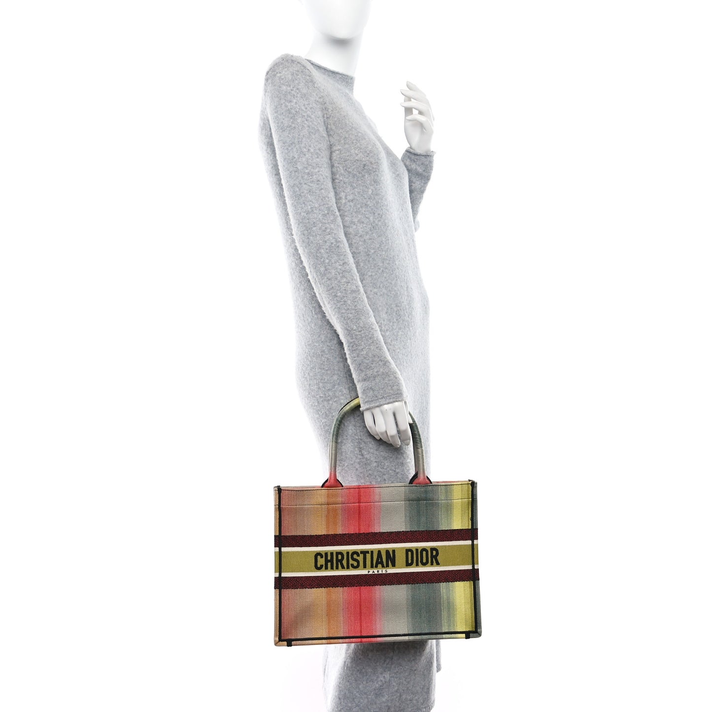 Canvas Embroidered Medium Dioraura Book Tote Multicolor