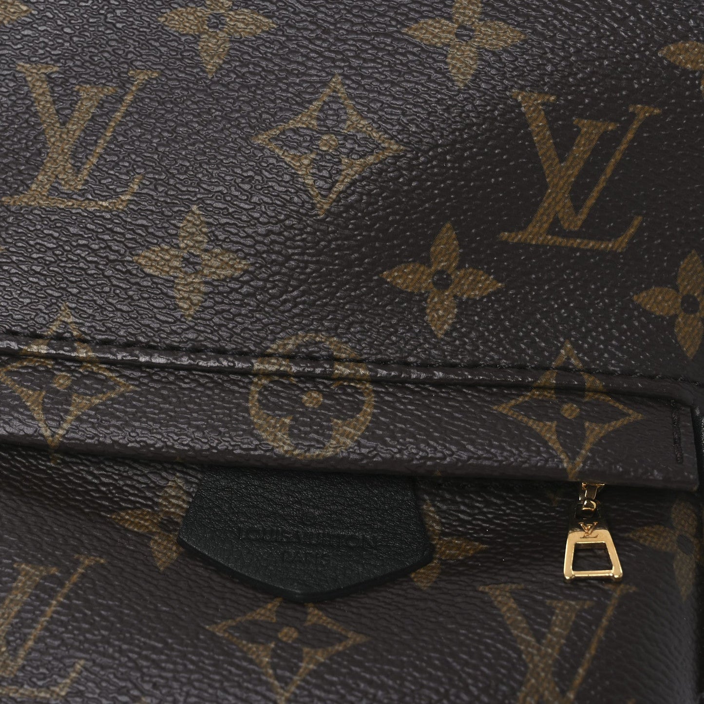 Monogram Palm Springs Backpack Mini