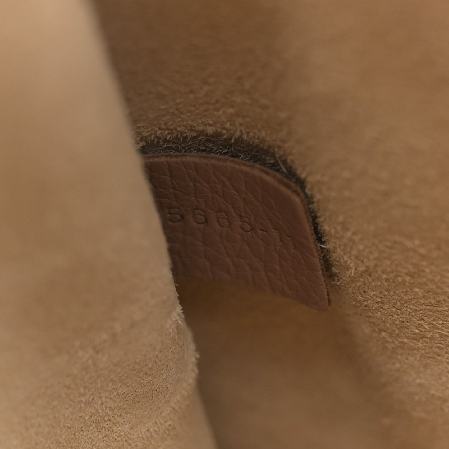 Grained Calfskin Small Hayley Hobo Nut