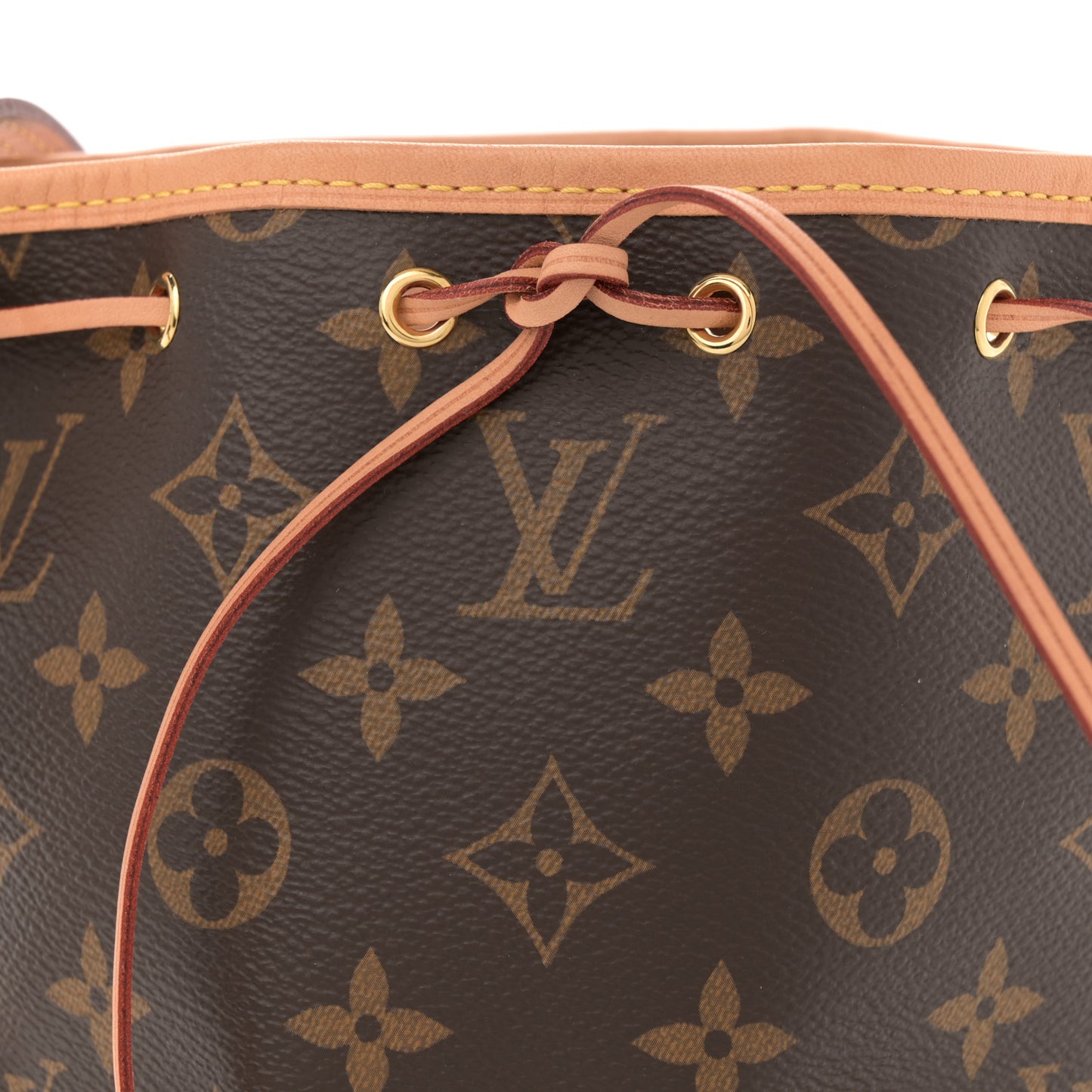 Monogram Nano Noe