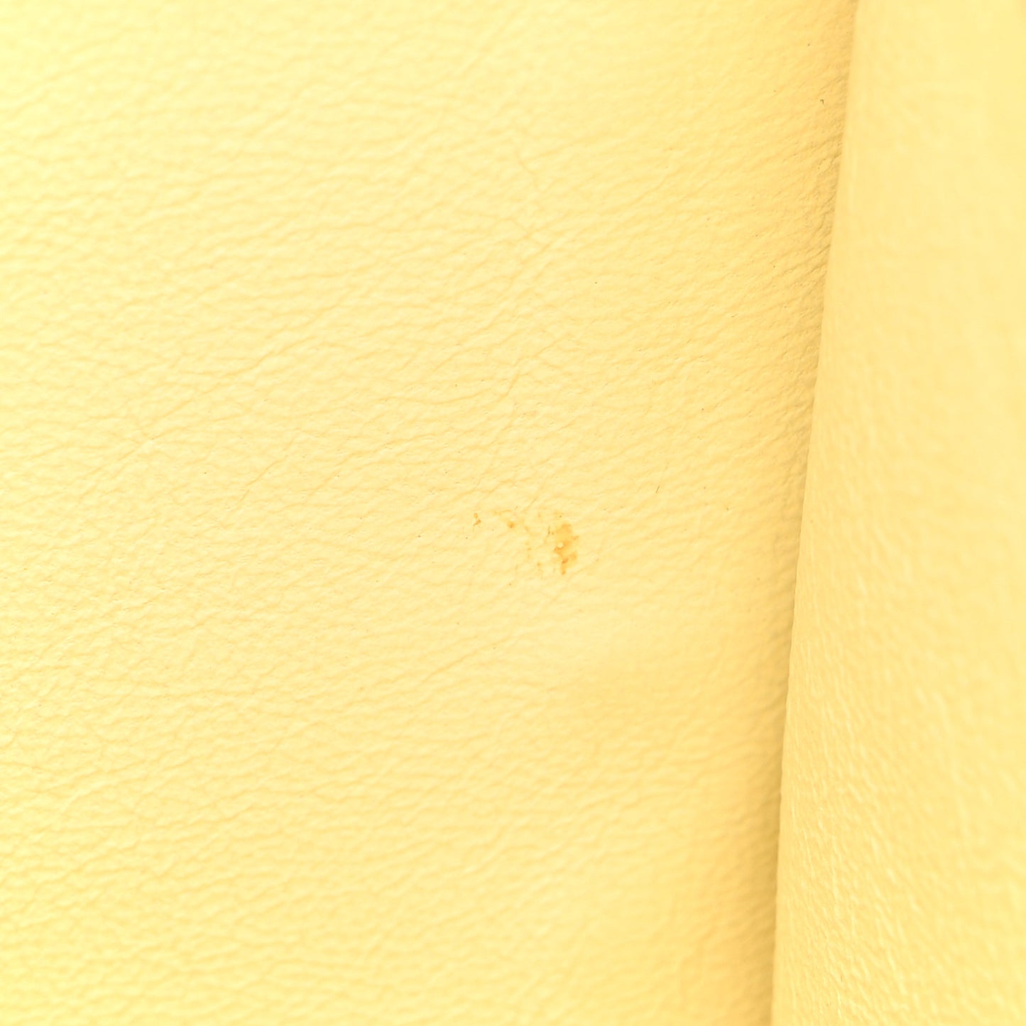 Drummed Calfskin Suede Medium Trapeze Butter