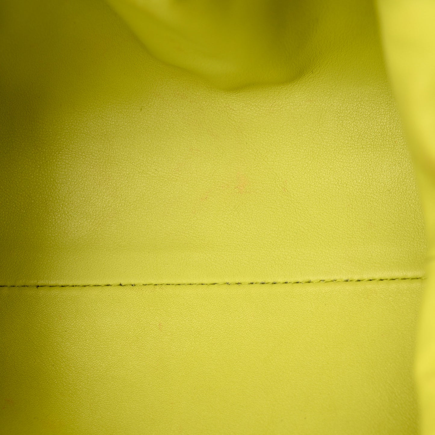 Butter Calfskin The Mini Pouch Kiwi