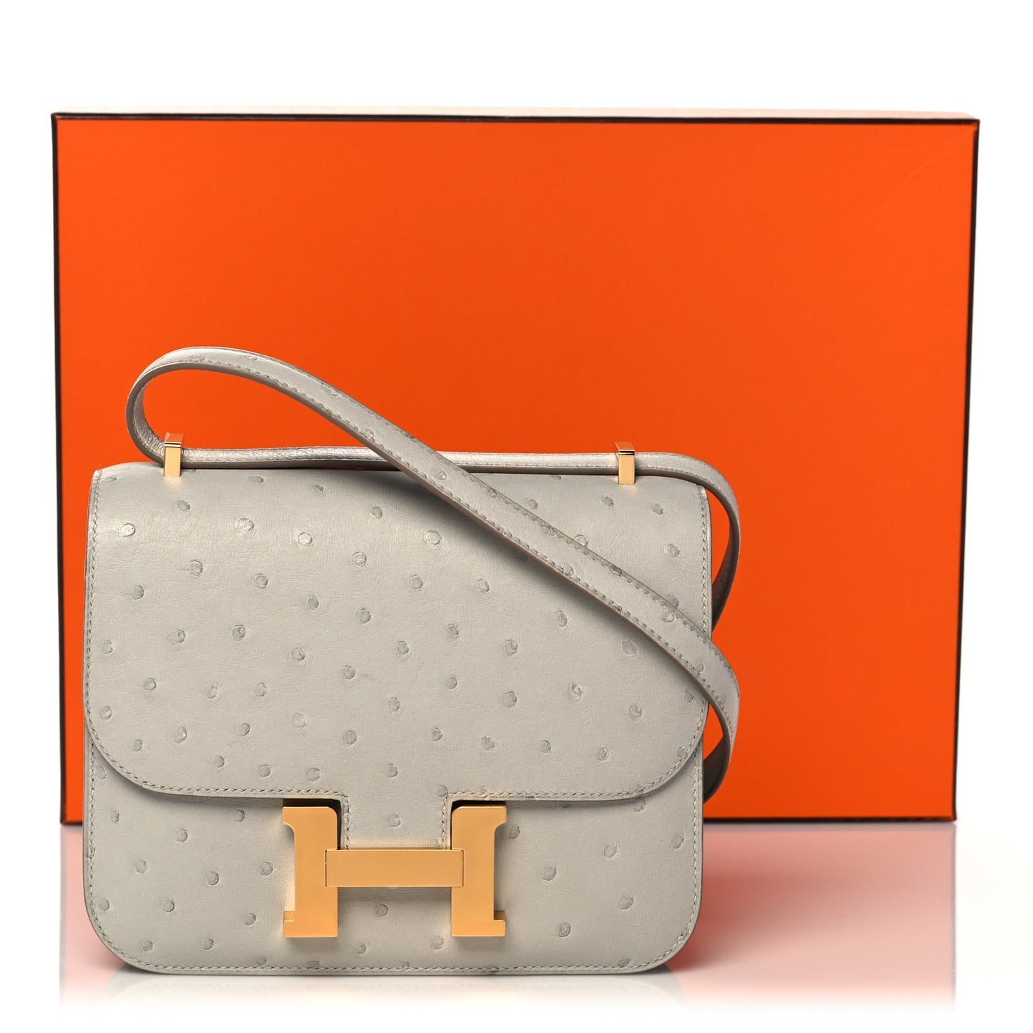 Ostrich Constance 18 Gris Perle