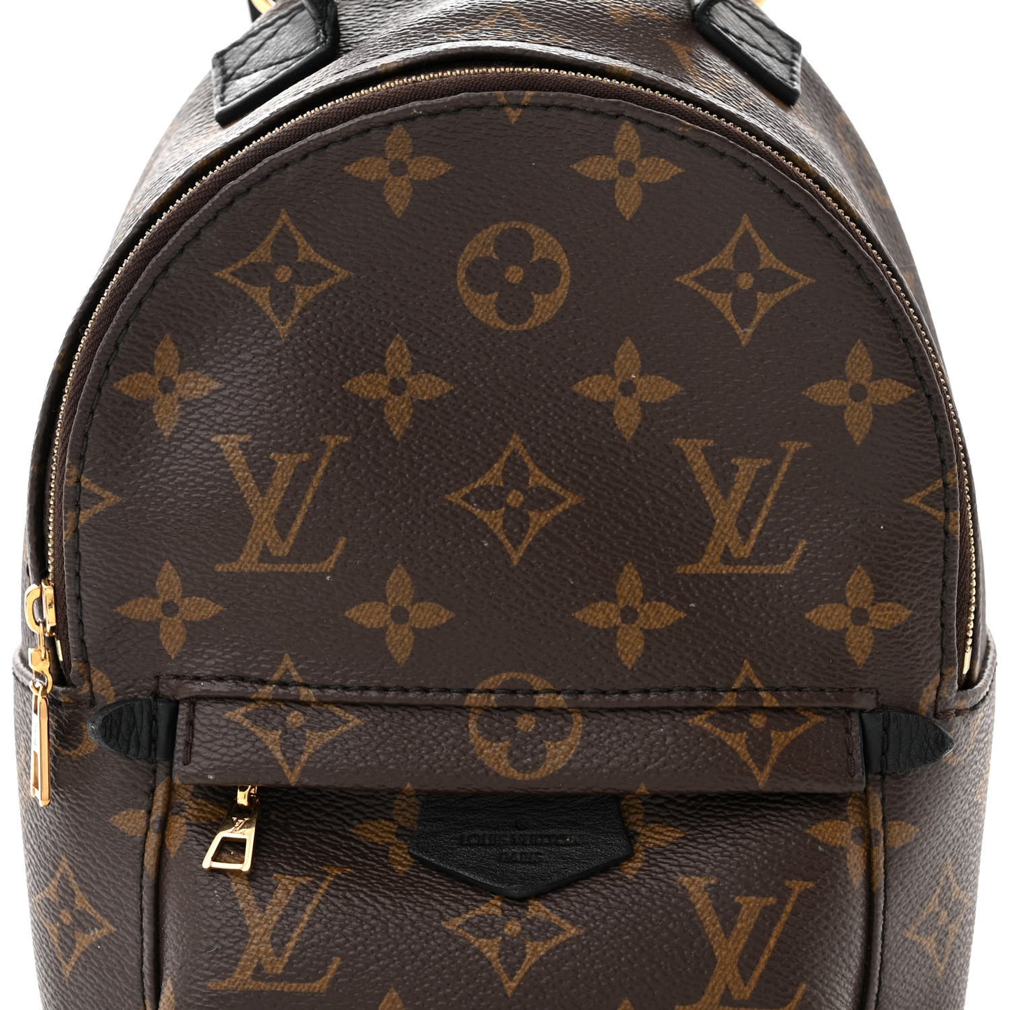Monogram Palm Springs Backpack Mini