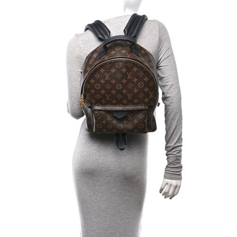 Monogram Palm Springs Backpack MM