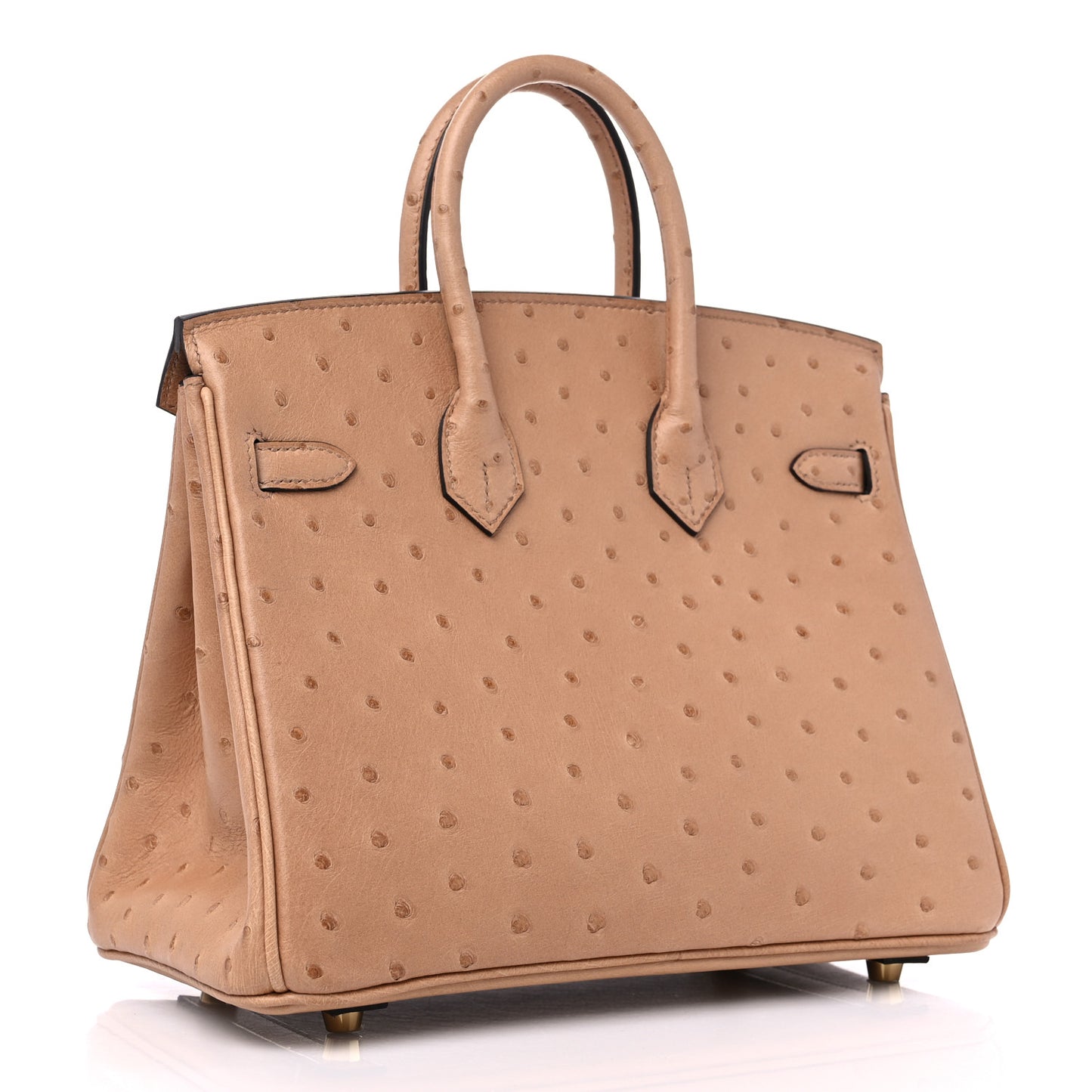 Ostrich Birkin 25 Chai