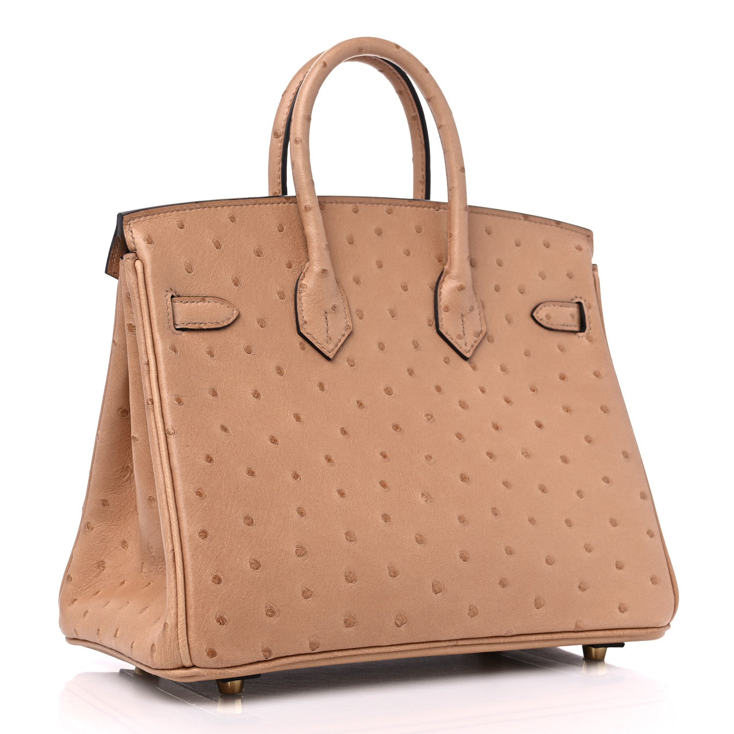 Hermes Ostrich Birkin 25 Chai 3 of 9
