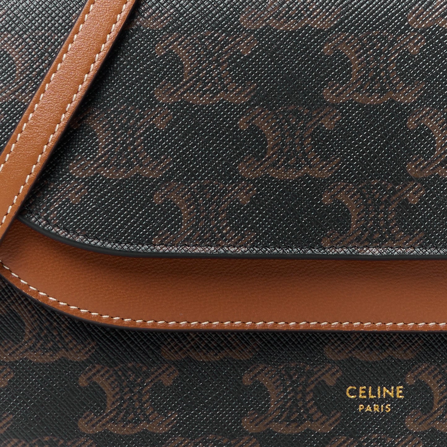 Triomphe Canvas Lambskin Wallet On Strap Tan