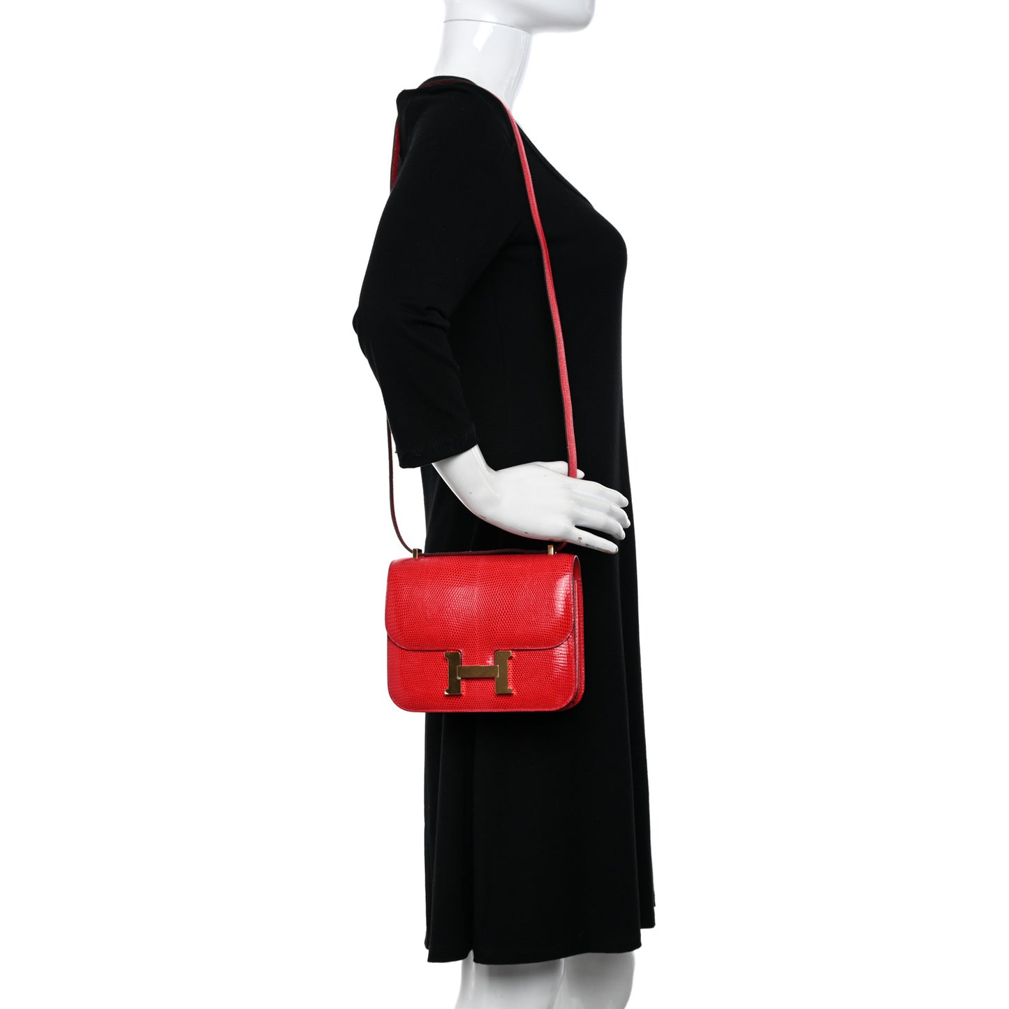 Lizard Constance 18 Rouge Moyen
